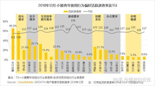 QuestMobile中国移动互联网2018年度大报告 多流量入口 精细化运营 新媒介价值凸显