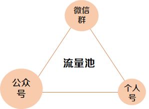 你所不知道的流量背后逻辑 如何做裂变增长