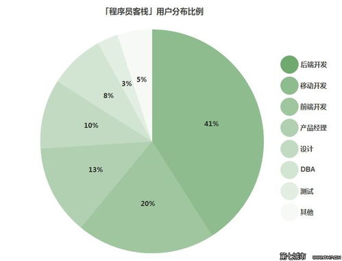 码农 究竟价值几何